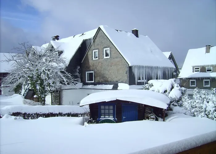 Appartement Ferienwohnung Boerner Winterberg